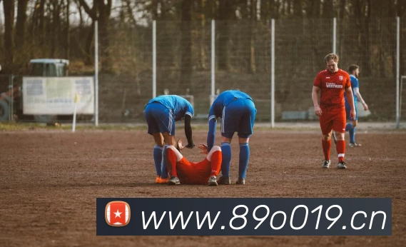 多媒体互动体验